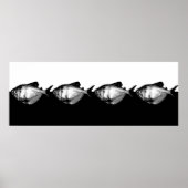 Black Skirt Tetra School Poster (Voorkant)