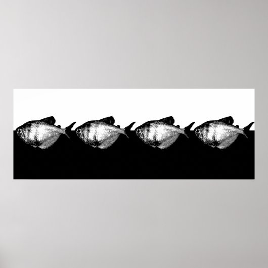 Black Skirt Tetra School Poster (Voorkant)