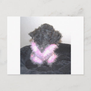 Black Speelgoed Podle in Pink Sweater oh la la Briefkaart