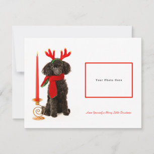 Black Speelgoed Poodle Merry kerst Feestdagenkaart