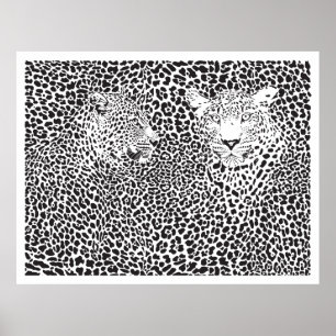 Black Spots Leopards Camouflaed Poster