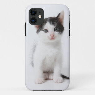 Black Spotted Kitten iPhone 11 Hoesje