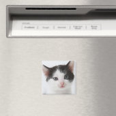 Black Spotted Kitten Magneet (Insitu (Vaatwasser))