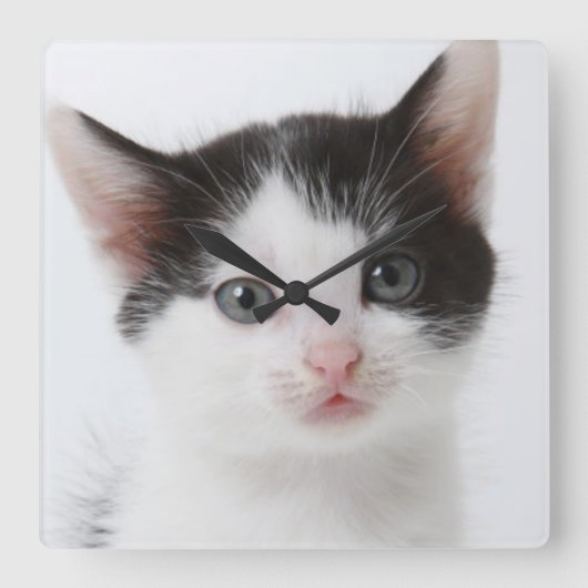 Black Spotted Kitten Vierkante Klok (Voorkant)