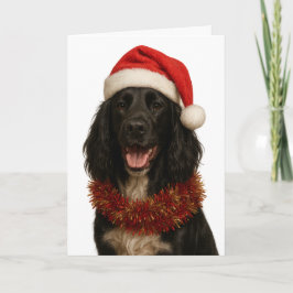 Black Sprocker / Springer Spaniel Christmas card Kaart