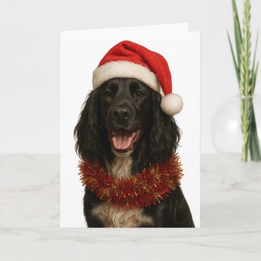 Black Sprocker / Springer Spaniel Christmas card Kaart (Voorkant)