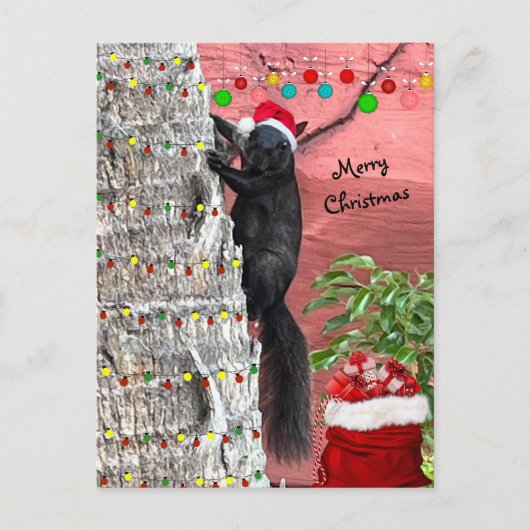 Black Squirrel Christmas Flat Holiday Card Feestdagenkaart (Voorkant)