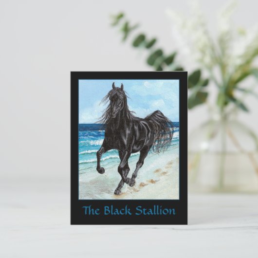 Black Stallion Arabian briefkaart (Staand voorkant)