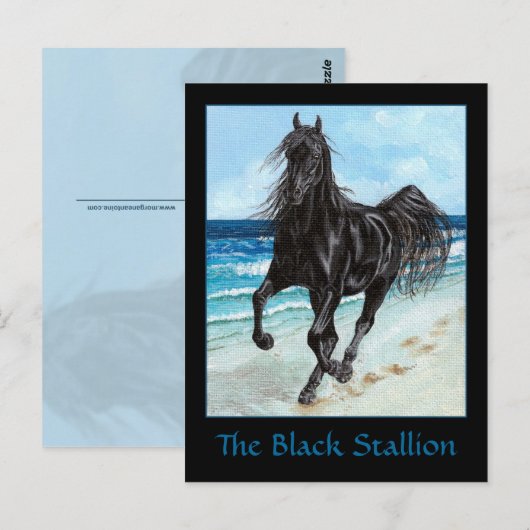 Black Stallion Arabian briefkaart (Voorkant / Achterkant)