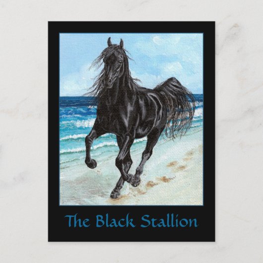 Black Stallion Arabian briefkaart (Voorkant)