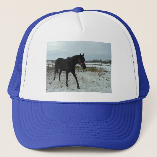 Black Stallion Beauty Trucker Pet (Voorkant)