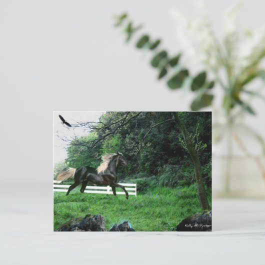 Black Stallion Briefkaart (Staand voorkant)