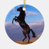 Black Stallion Keramisch Ornament (Voorkant)