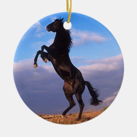 Black Stallion Keramisch Ornament (Voorkant)