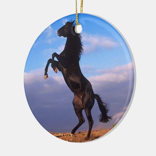 Black Stallion Keramisch Ornament (Links)