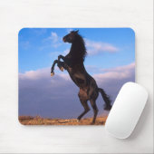 Black Stallion Muismat (Met muis)