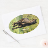Black Stallion Ovale Sticker (Envelop)