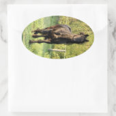 Black Stallion Ovale Sticker (Tas)