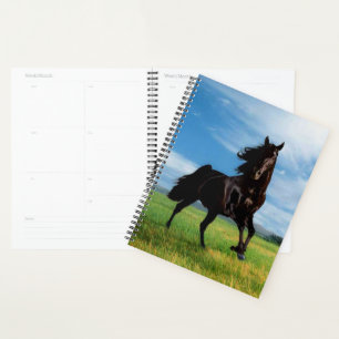 Black Stallion Planner