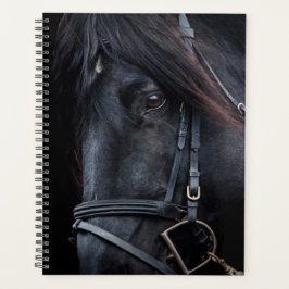 Black Stallion Planner
