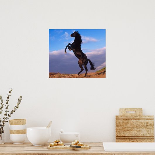 Black Stallion Poster (Keuken)
