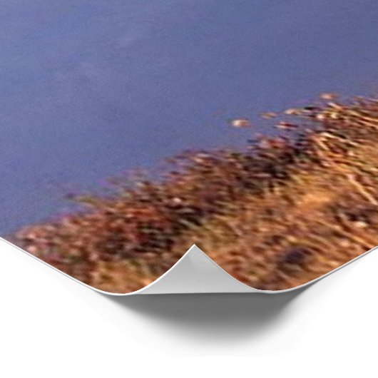 Black Stallion Poster (Hoek)