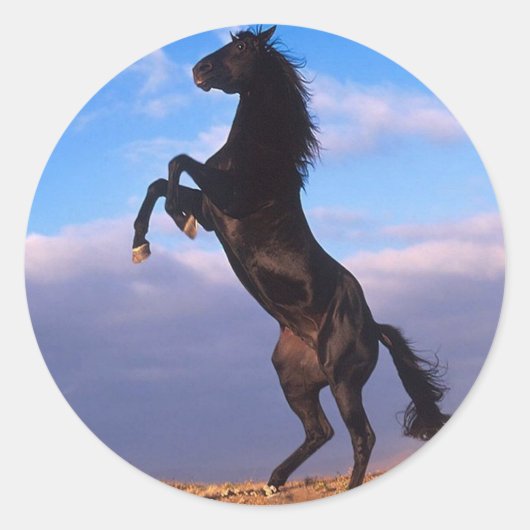 Black Stallion Ronde Sticker (Voorkant)