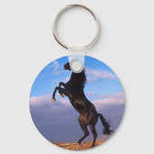 Black Stallion Sleutelhanger (Voorkant)