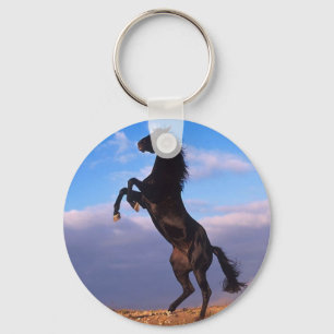 Black Stallion Sleutelhanger