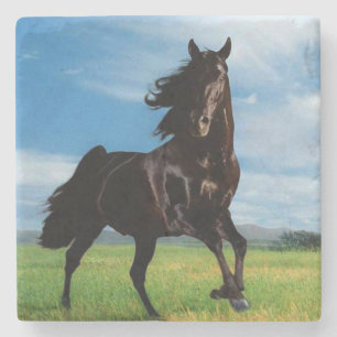 Black Stallion Stenen Onderzetter