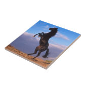 Black Stallion Tegeltje (Zijkant)