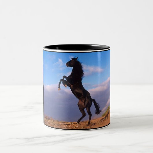 Black Stallion Tweekleurige Koffiemok (Center)