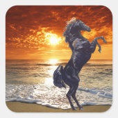 Black Stallion Vierkante Sticker (Voorkant)