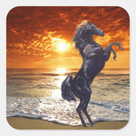 Black Stallion Vierkante Sticker