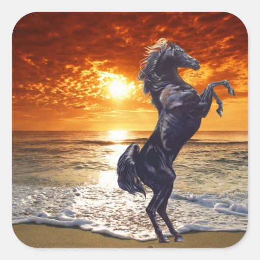 Black Stallion Vierkante Sticker (Voorkant)