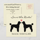 Black Standard Poedels Wedding Save the Date Aankondigingskaart (Voorkant / Achterkant)