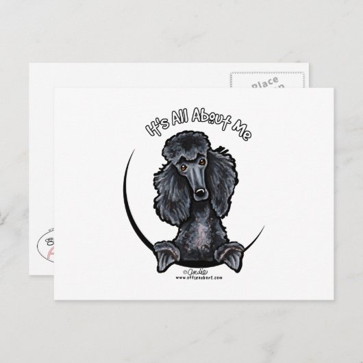 Black Standard Poodle IAAM Briefkaart (Voorkant / Achterkant)