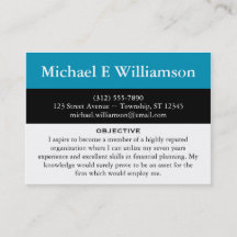 Black Stripe Blue RESUME Visitekaartjes
