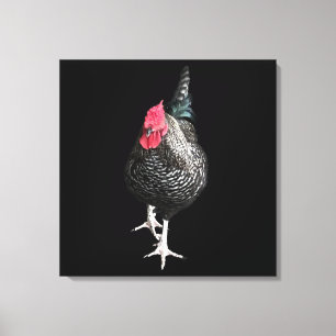 Black Strutting Cocreet nr. 3 Canvas Afdruk