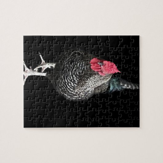 Black Strutting Cocreet nr. 3 Legpuzzel (Horizontaal)