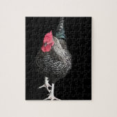 Black Strutting Cocreet nr. 3 Legpuzzel (Verticaal)