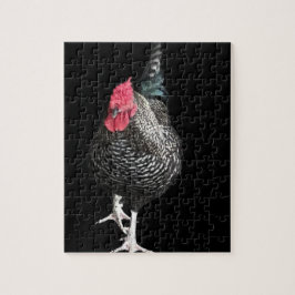 Black Strutting Cocreet nr. 3 Legpuzzel