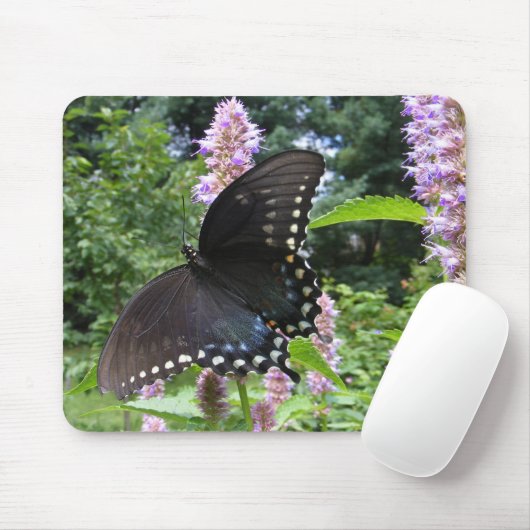 Black Swallowtail 69 ~ mousepad Muismat (Met muis)