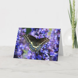 Black Swallowtail 7 x 5 Greeting Card - wit Kaart