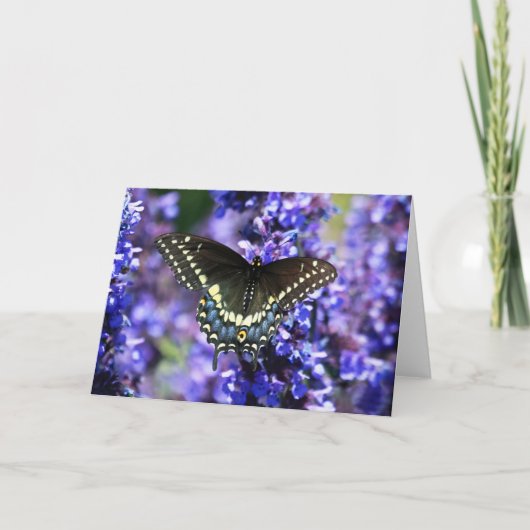 Black Swallowtail 7 x 5 Greeting Card - wit Kaart (Voorkant)