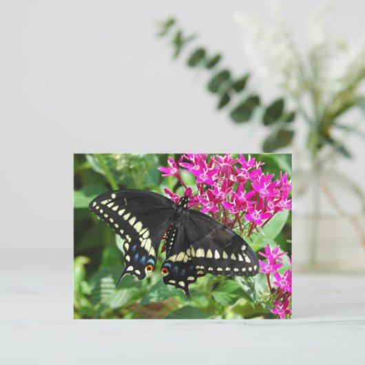 Black Swallowtail Briefkaart (Staand voorkant)