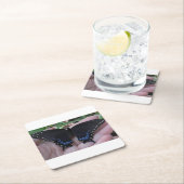 Black Swallowtail Butterfly #1 Kartonnen Onderzetters (Insitu)