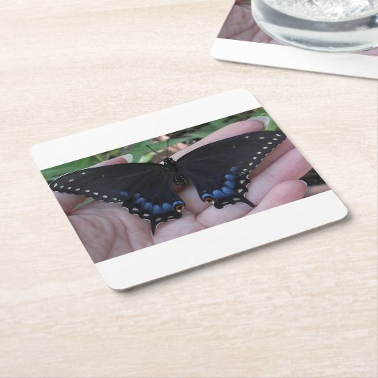 Black Swallowtail Butterfly #1 Kartonnen Onderzetters (Schuin)