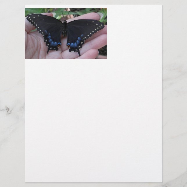 Black Swallowtail Butterfly #1-letterhead (Voorkant)