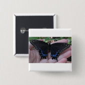 Black Swallowtail Butterfly #1 Vierkante Button 5,1 Cm (Voorkant /achterkant)